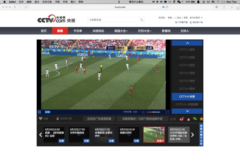 世界杯直播视频网站